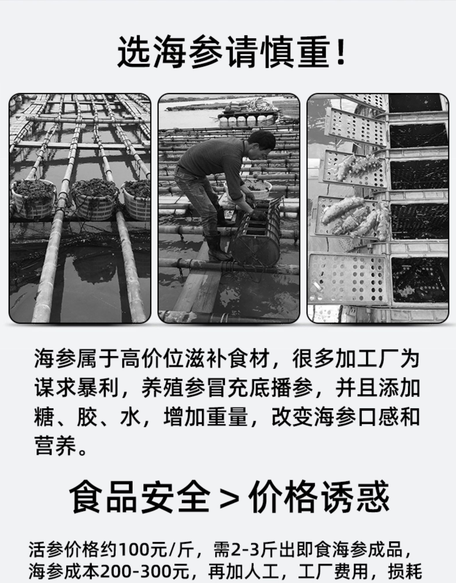 人工养殖海参的缺点
