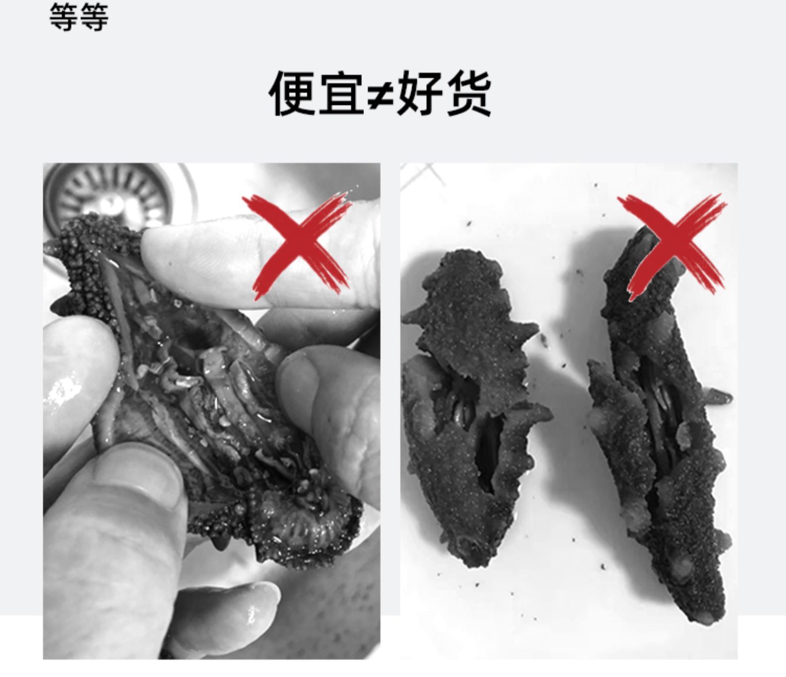 便宜海参价格不等于占便宜