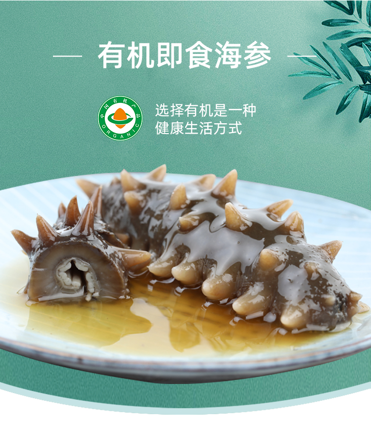 什么是有机即食海参