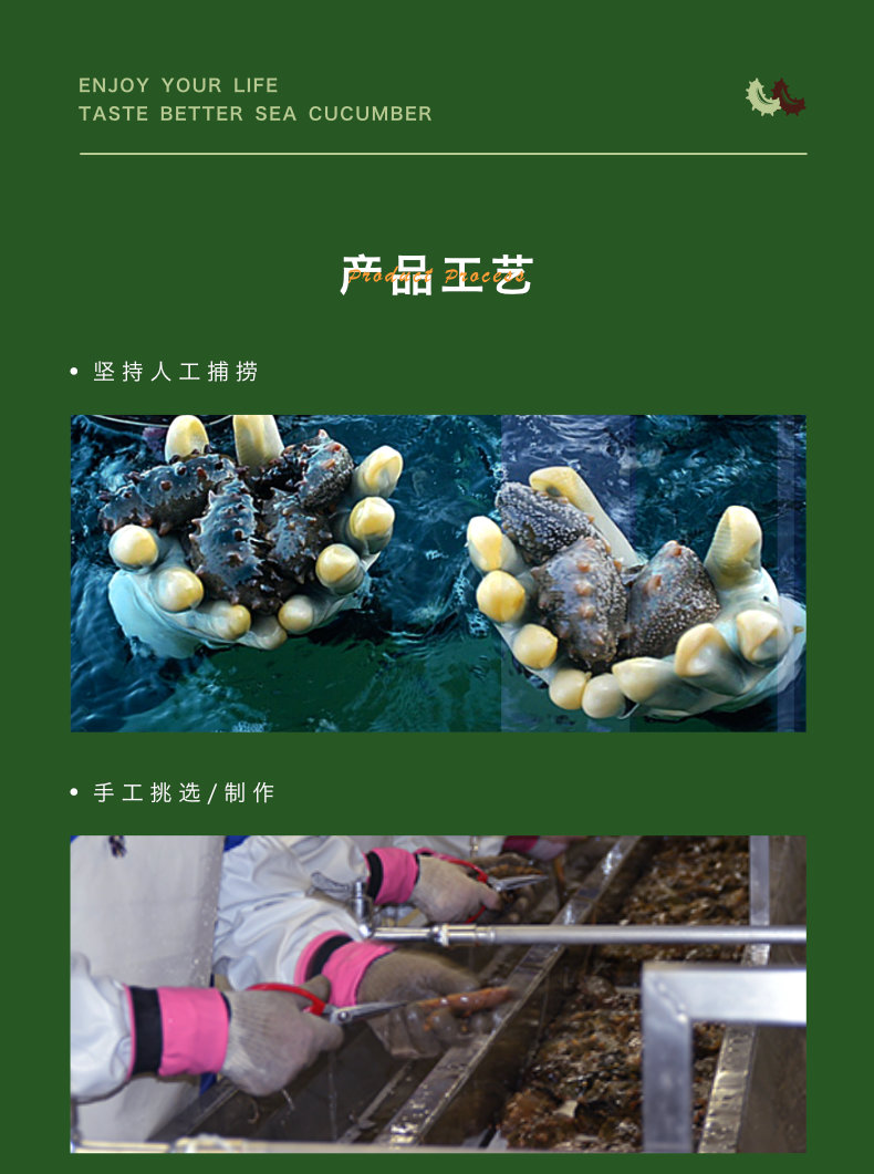 捕捞海参和海参生长环境