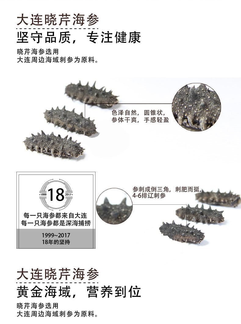 大连海参什么样，如何鉴别海参真假