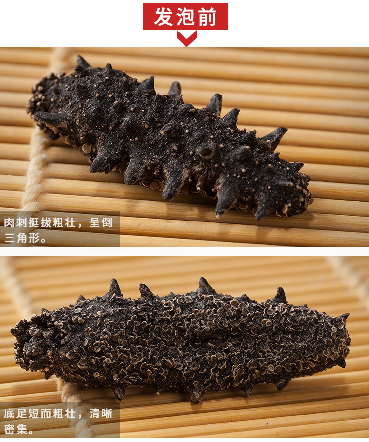 淡干海参泡发前后对比