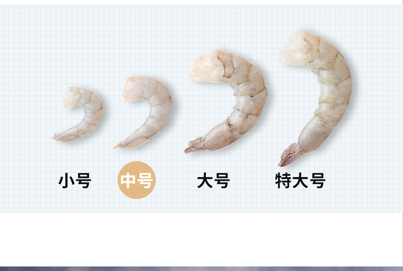 虾仁大小对比